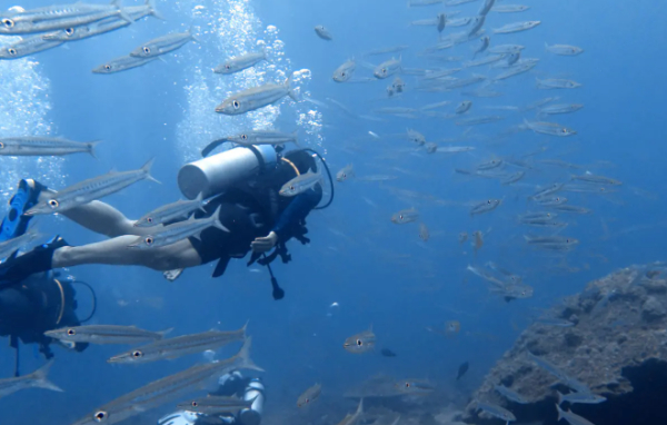 潛水(shuǐ)入門(mén)必看(kàn)知(zhī)識——入門(mén)ow